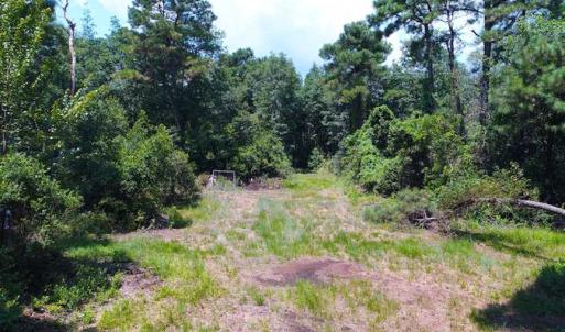 Photo of SOLD!!  60 Acres of Hunting Land For Sale in Hyde County NC!
