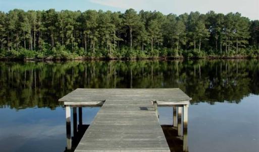 Photo of SOLD!!  60 Acres of Hunting Land For Sale in Hyde County NC!