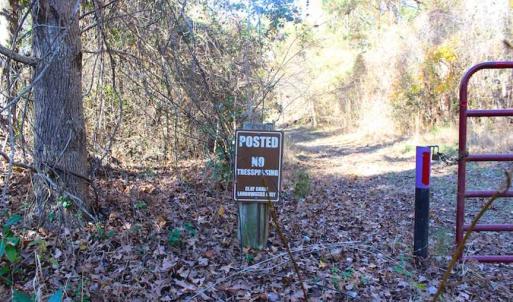 Photo of SOLD!!  60 Acres of Hunting Land For Sale in Hyde County NC!