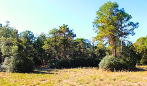 Photo of SOLD!!  60 Acres of Hunting Land For Sale in Hyde County NC!