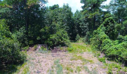 Photo of SOLD!!  60 Acres of Hunting Land For Sale in Hyde County NC!