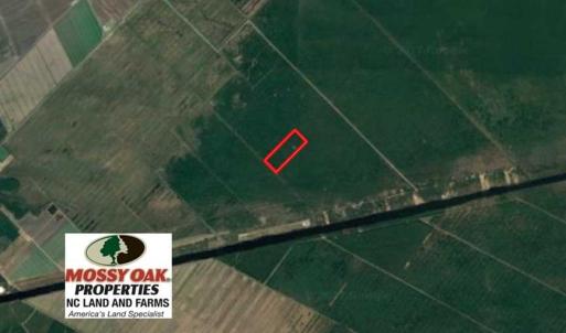 Photo of SOLD!!  60 Acres of Hunting Land For Sale in Hyde County NC!