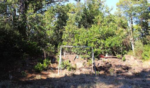 Photo of SOLD!!  60 Acres of Hunting Land For Sale in Hyde County NC!