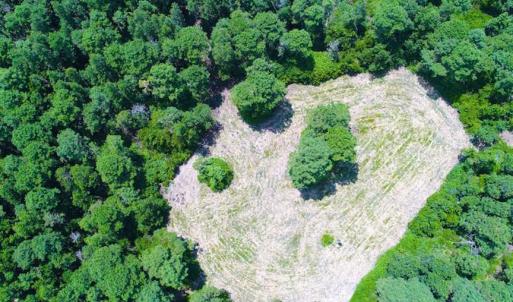 Photo of SOLD!!  60 Acres of Hunting Land For Sale in Hyde County NC!