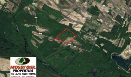 Photo of UNDER CONTRACT!  60 Acres of Farm Timber and Hunting Land For Sale in Pitt County NC!