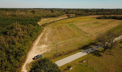 Photo of UNDER CONTRACT!  60 Acres of Farm Timber and Hunting Land For Sale in Pitt County NC!