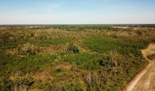 Photo of UNDER CONTRACT!  60 Acres of Farm Timber and Hunting Land For Sale in Pitt County NC!