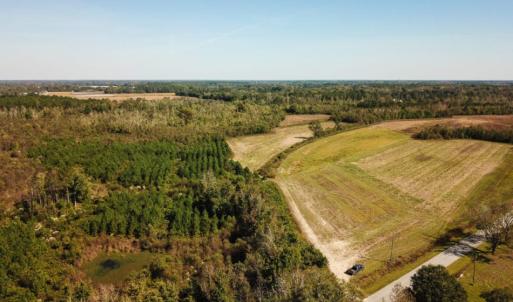 Photo of UNDER CONTRACT!  60 Acres of Farm Timber and Hunting Land For Sale in Pitt County NC!