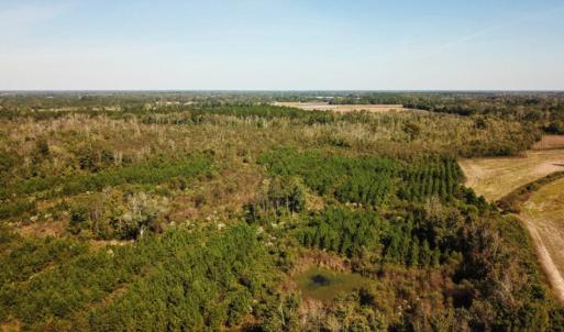 Photo of UNDER CONTRACT!  60 Acres of Farm Timber and Hunting Land For Sale in Pitt County NC!