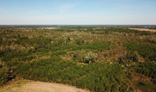 Photo of UNDER CONTRACT!  60 Acres of Farm Timber and Hunting Land For Sale in Pitt County NC!
