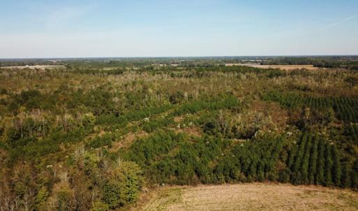 Photo of UNDER CONTRACT!  60 Acres of Farm Timber and Hunting Land For Sale in Pitt County NC!