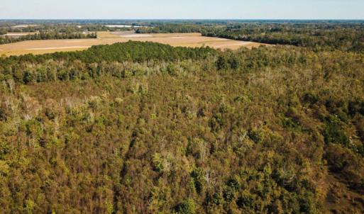 Photo of UNDER CONTRACT!  60 Acres of Farm Timber and Hunting Land For Sale in Pitt County NC!
