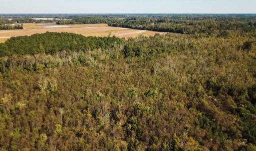 Photo of UNDER CONTRACT!  60 Acres of Farm Timber and Hunting Land For Sale in Pitt County NC!