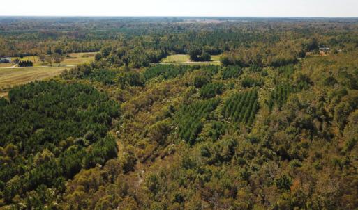Photo of UNDER CONTRACT!  60 Acres of Farm Timber and Hunting Land For Sale in Pitt County NC!