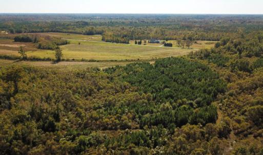 Photo of UNDER CONTRACT!  60 Acres of Farm Timber and Hunting Land For Sale in Pitt County NC!