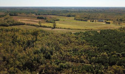 Photo of UNDER CONTRACT!  60 Acres of Farm Timber and Hunting Land For Sale in Pitt County NC!