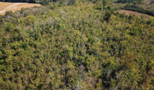 Photo of UNDER CONTRACT!  60 Acres of Farm Timber and Hunting Land For Sale in Pitt County NC!