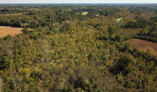 Photo of UNDER CONTRACT!  60 Acres of Farm Timber and Hunting Land For Sale in Pitt County NC!