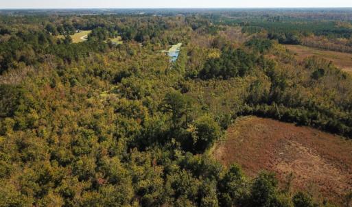 Photo of UNDER CONTRACT!  60 Acres of Farm Timber and Hunting Land For Sale in Pitt County NC!