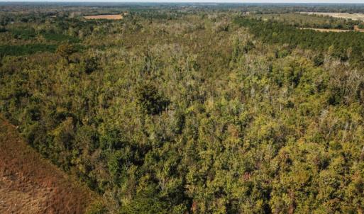 Photo of UNDER CONTRACT!  60 Acres of Farm Timber and Hunting Land For Sale in Pitt County NC!