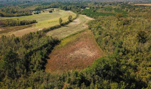 Photo of UNDER CONTRACT!  60 Acres of Farm Timber and Hunting Land For Sale in Pitt County NC!