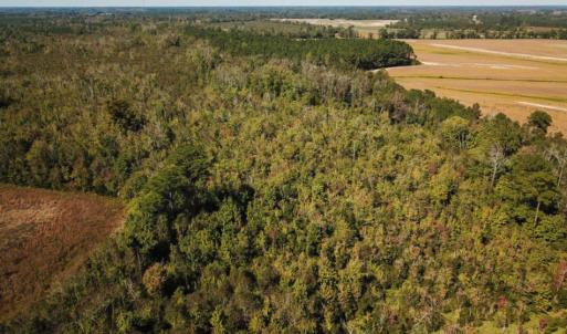 Photo of UNDER CONTRACT!  60 Acres of Farm Timber and Hunting Land For Sale in Pitt County NC!