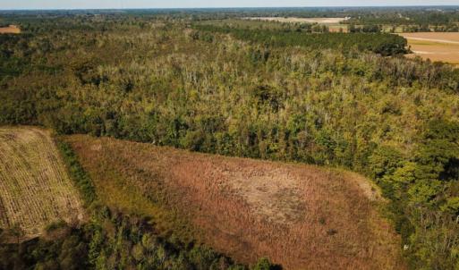 Photo of UNDER CONTRACT!  60 Acres of Farm Timber and Hunting Land For Sale in Pitt County NC!