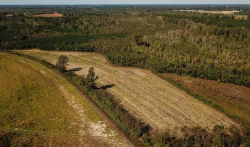 Photo of UNDER CONTRACT!  60 Acres of Farm Timber and Hunting Land For Sale in Pitt County NC!