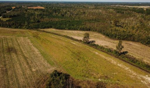 Photo of UNDER CONTRACT!  60 Acres of Farm Timber and Hunting Land For Sale in Pitt County NC!