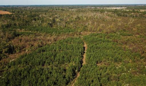 Photo of UNDER CONTRACT!  60 Acres of Farm Timber and Hunting Land For Sale in Pitt County NC!
