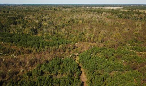 Photo of UNDER CONTRACT!  60 Acres of Farm Timber and Hunting Land For Sale in Pitt County NC!