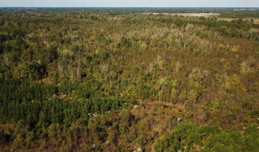 Photo of UNDER CONTRACT!  60 Acres of Farm Timber and Hunting Land For Sale in Pitt County NC!
