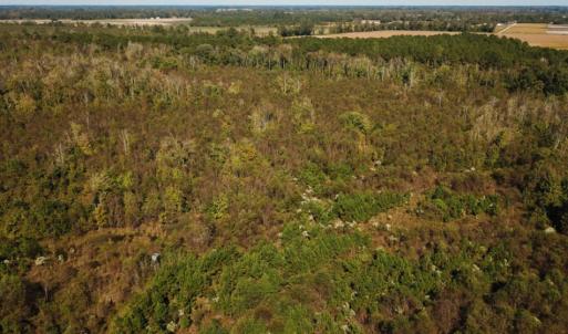 Photo of UNDER CONTRACT!  60 Acres of Farm Timber and Hunting Land For Sale in Pitt County NC!