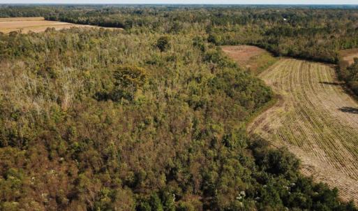 Photo of UNDER CONTRACT!  60 Acres of Farm Timber and Hunting Land For Sale in Pitt County NC!