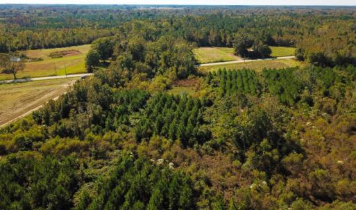 Photo of UNDER CONTRACT!  60 Acres of Farm Timber and Hunting Land For Sale in Pitt County NC!