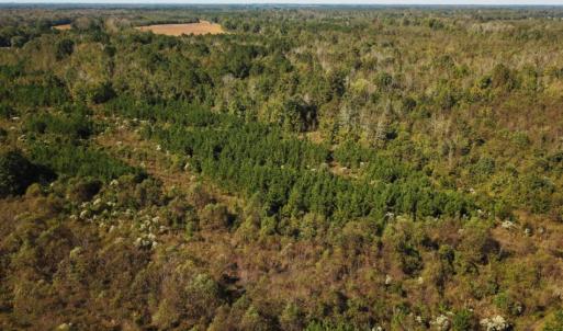 Photo of UNDER CONTRACT!  60 Acres of Farm Timber and Hunting Land For Sale in Pitt County NC!