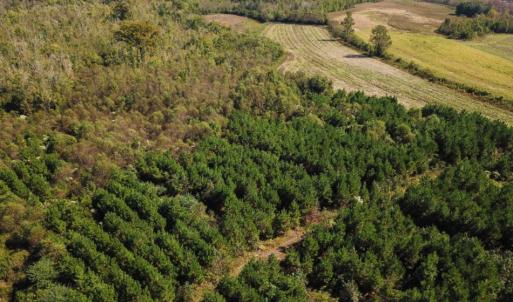 Photo of UNDER CONTRACT!  60 Acres of Farm Timber and Hunting Land For Sale in Pitt County NC!