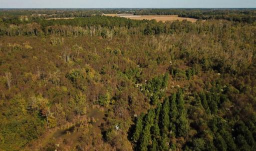 Photo of UNDER CONTRACT!  60 Acres of Farm Timber and Hunting Land For Sale in Pitt County NC!