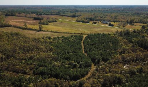 Photo of UNDER CONTRACT!  60 Acres of Farm Timber and Hunting Land For Sale in Pitt County NC!