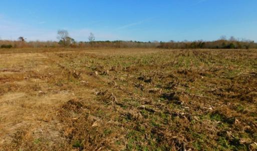 Photo of UNDER CONTRACT!  60 Acres of Farm Timber and Hunting Land For Sale in Pitt County NC!
