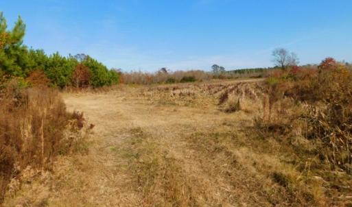 Photo of UNDER CONTRACT!  60 Acres of Farm Timber and Hunting Land For Sale in Pitt County NC!