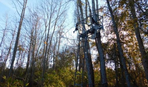 Photo of UNDER CONTRACT!  60 Acres of Farm Timber and Hunting Land For Sale in Pitt County NC!