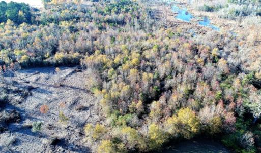 Photo of UNDER CONTRACT!  16 Acres of Residential Hunting Land For Sale In Duplin County NC!