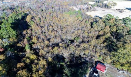 Photo of UNDER CONTRACT!  16 Acres of Residential Hunting Land For Sale In Duplin County NC!