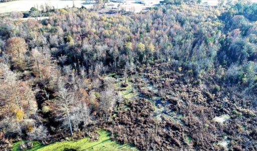 Photo of UNDER CONTRACT!  16 Acres of Residential Hunting Land For Sale In Duplin County NC!