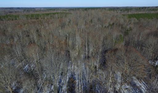 Photo of UNDER CONTRACT!  7.73 acres of Residential and Hunting Land For Sale in Dinwiddie County VA!