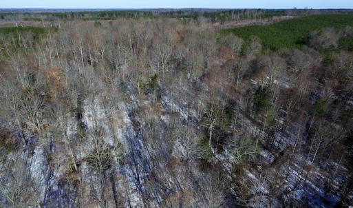 Photo of UNDER CONTRACT!  7.73 acres of Residential and Hunting Land For Sale in Dinwiddie County VA!