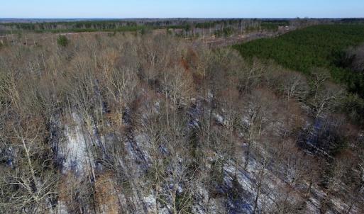 Photo of UNDER CONTRACT!  7.73 acres of Residential and Hunting Land For Sale in Dinwiddie County VA!