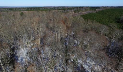Photo of UNDER CONTRACT!  7.73 acres of Residential and Hunting Land For Sale in Dinwiddie County VA!