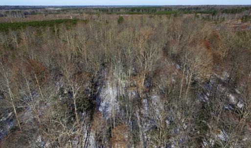 Photo of UNDER CONTRACT!  7.73 acres of Residential and Hunting Land For Sale in Dinwiddie County VA!
